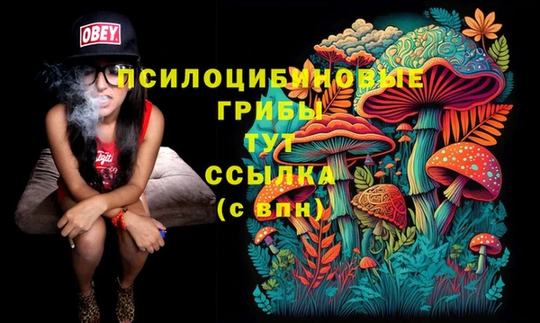 дживик Алексин