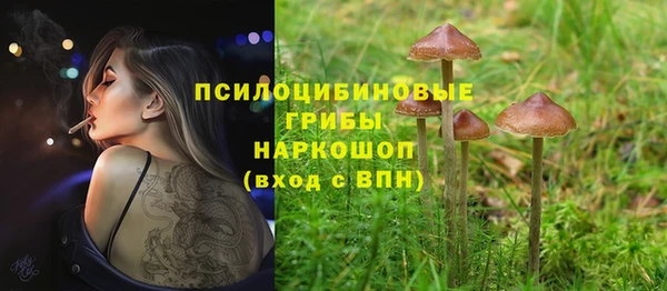 apvp Алзамай