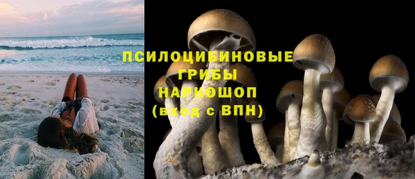 таблы Алексеевка