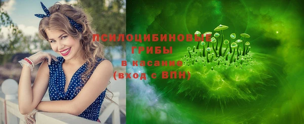 дживик Алексин