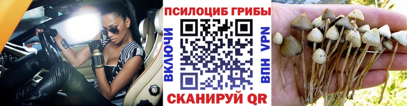 Псилоцибиновые грибы прущие грибы  hydra зеркало  Кондопога 