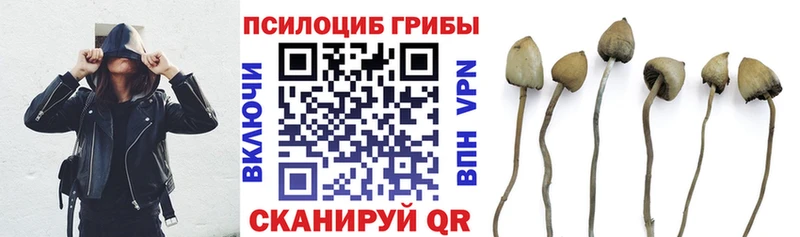 Галлюциногенные грибы GOLDEN TEACHER Кондопога