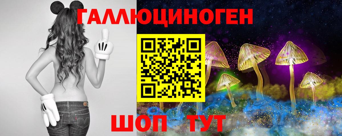 Псилоцибиновые грибы ЛСД Кондопога